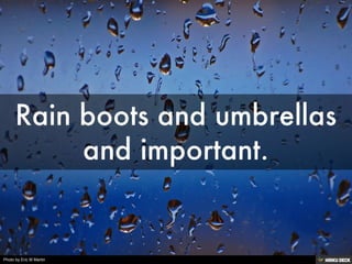 Photo by Eric M Martin
 