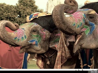 Destination India with Wish Bone India