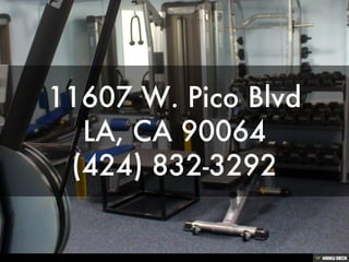 Elite Body Fitness