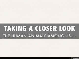 TAKING A CLOSER LOOK  THE HUMAN ANIMALS AMONG US.... 