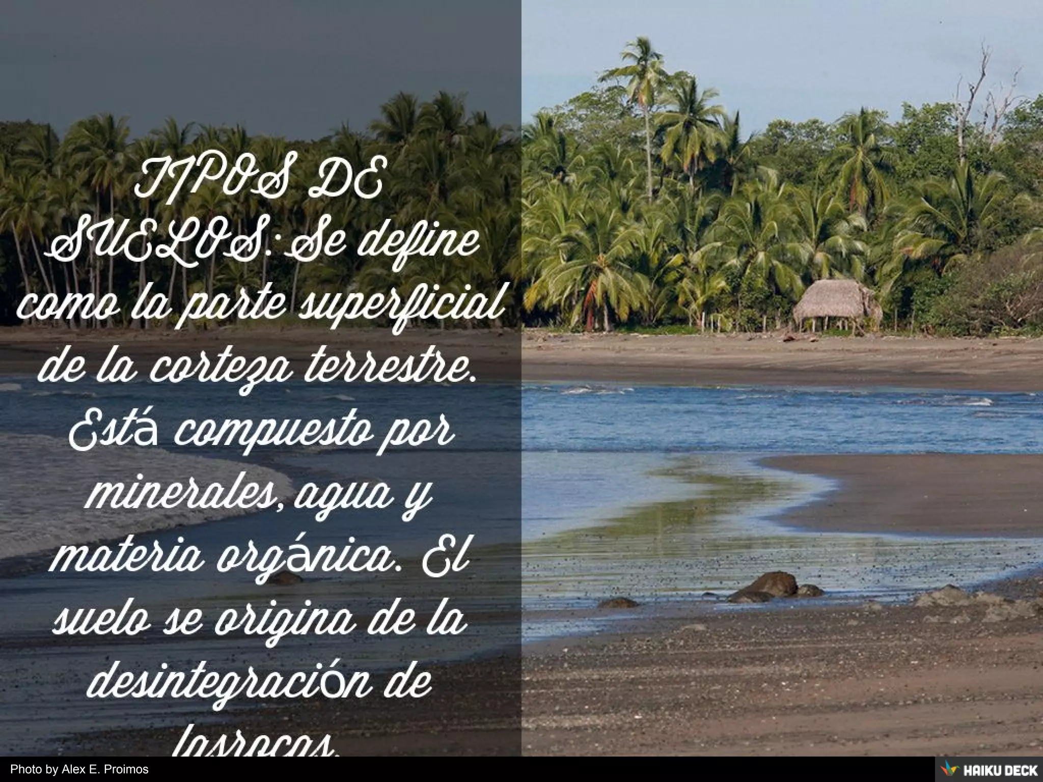 Photo by Alex E. Proimos