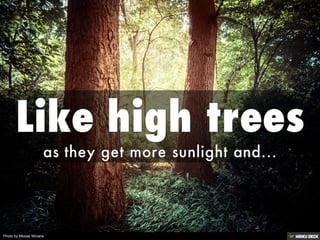 Photo by Moose Winans
 