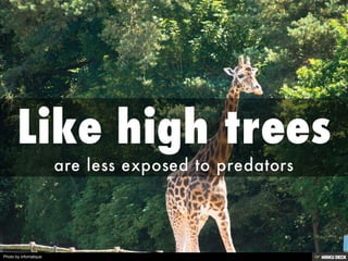 Photo by infomatique
 