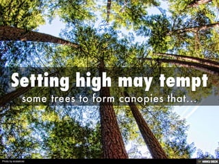 Photo by ecstaticist
 