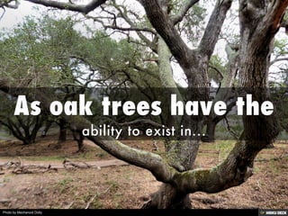 Photo by Mechanoid Dolly
 