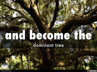 Photo by oliver.dodd
 