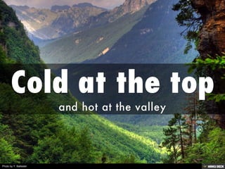 Photo by Y. Ballester
 