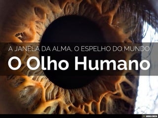 O Olho Humano  A janela da alma, o espelho do mundo 