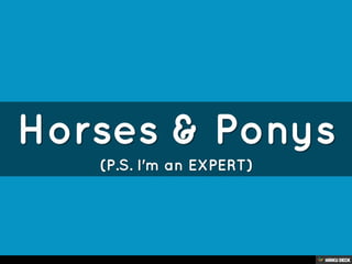 Horses &amp; Ponys  (P.S. I'm an EXPERT) 