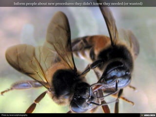 Photo by nevervoidphotography
 