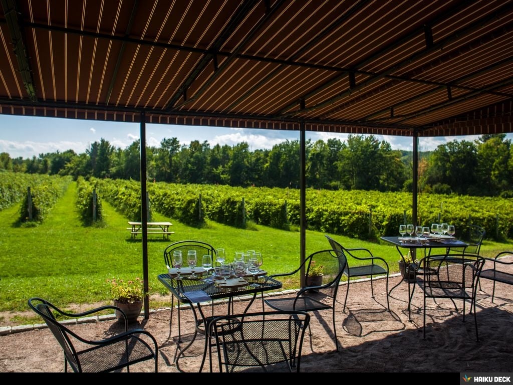 Photoshoot of Shelburne Vineyard Winery