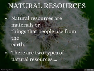 Photo by Sergiu Bacioiu
 