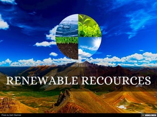 Photo by Zach Dischner
 