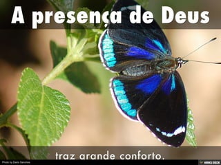 Photo by Dario Sanches
 