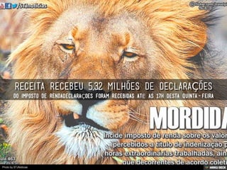 Photo by STJNoticias
 