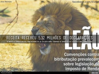 Photo by STJNoticias
 
