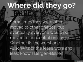 Photo by Fernando Martín
 