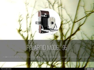 Photo by Matt Callow
 