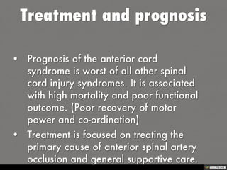 Anterior cord syndrome