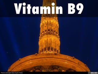 Photo by Sprengben [why not get a friend]
 