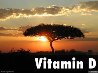 Photo by angela7dreams