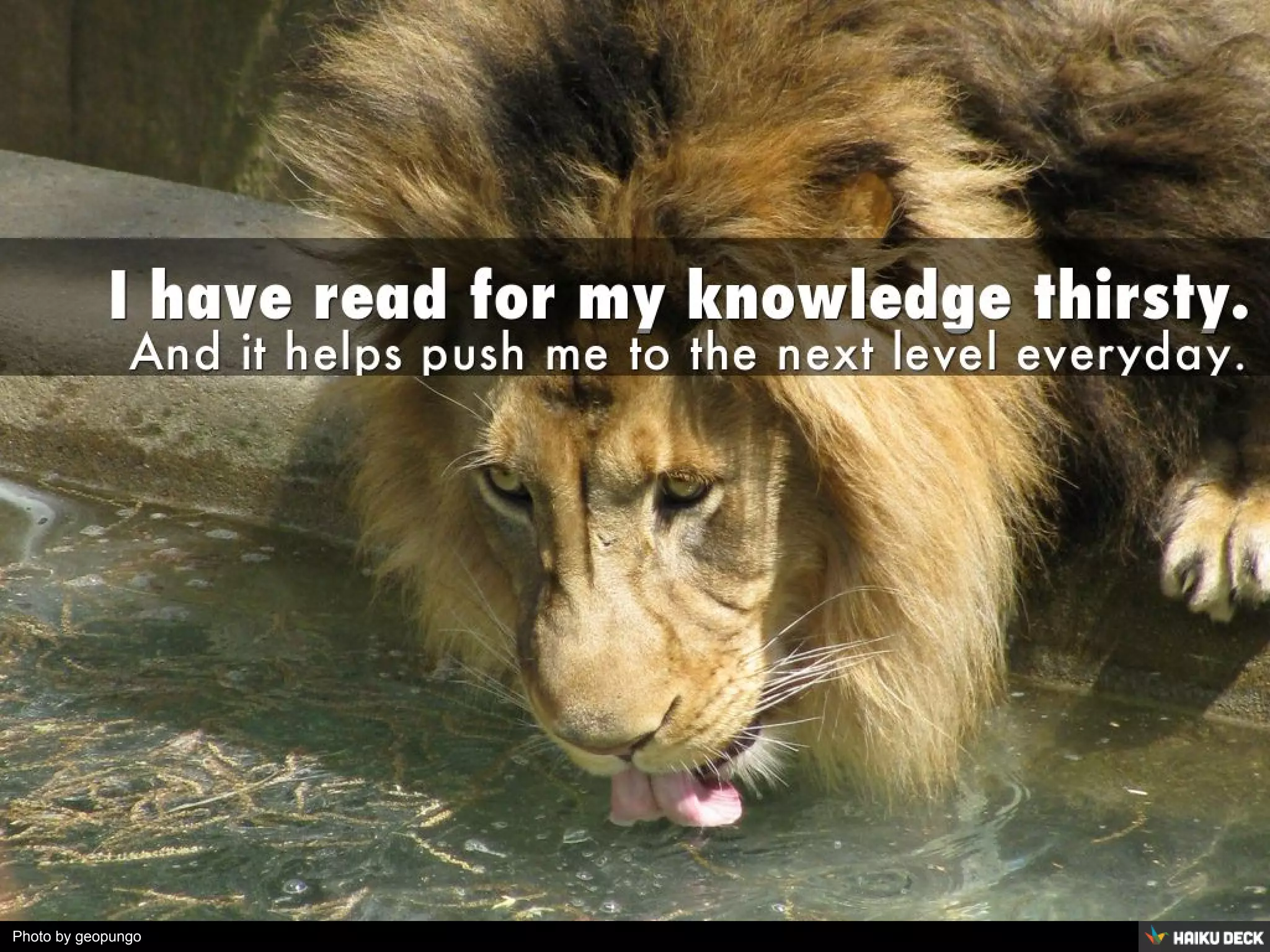 Photo by geopungo - Creative Commons Attribution-ShareAlike License https://www.flickr.com/photos/36319440@N05 Created with Haiku Deck
 