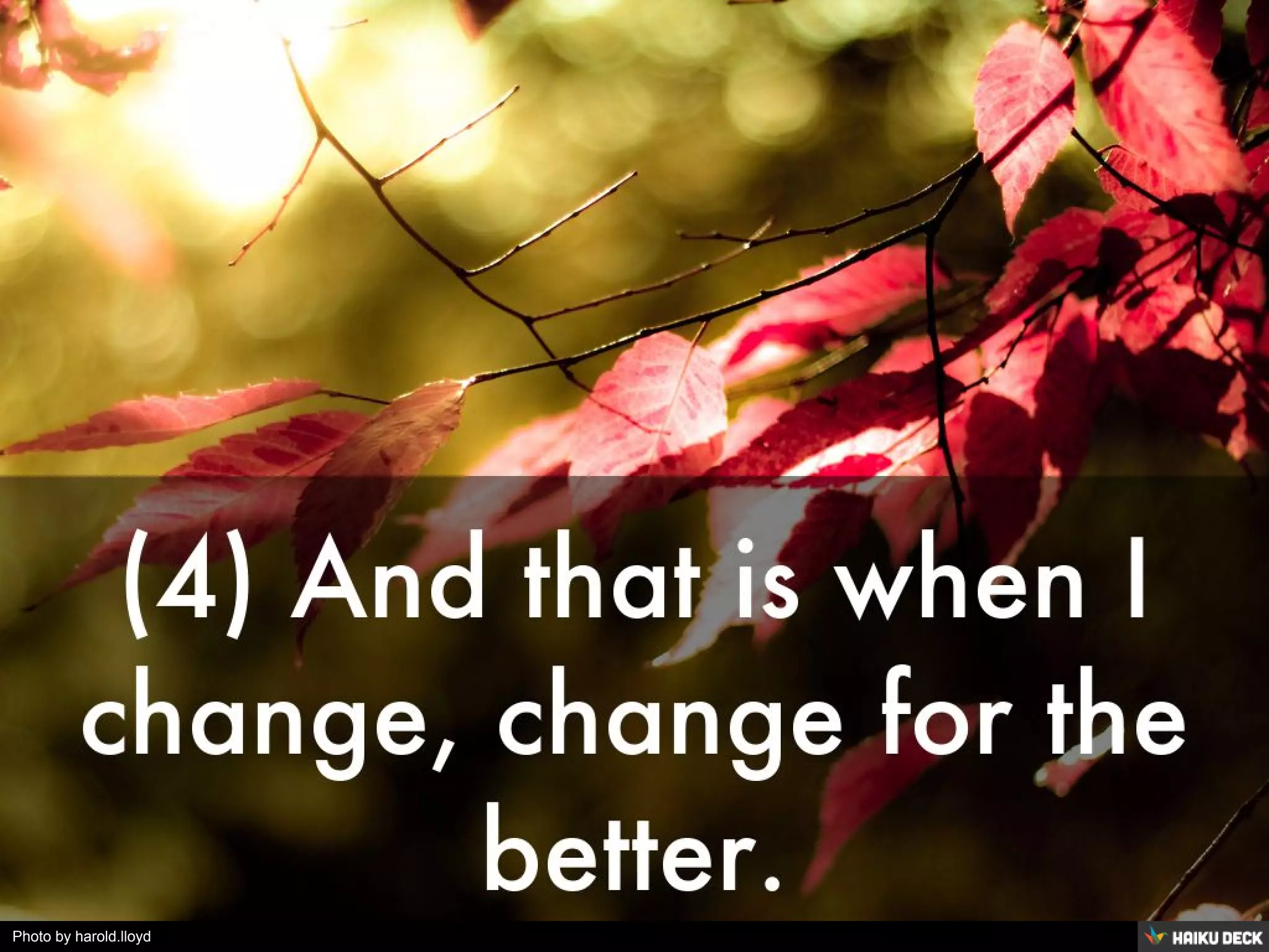 Photo by harold.lloyd - Creative Commons Attribution-NonCommercial-ShareAlike License https://www.flickr.com/photos/14434912@N07 Created with Haiku Deck
 