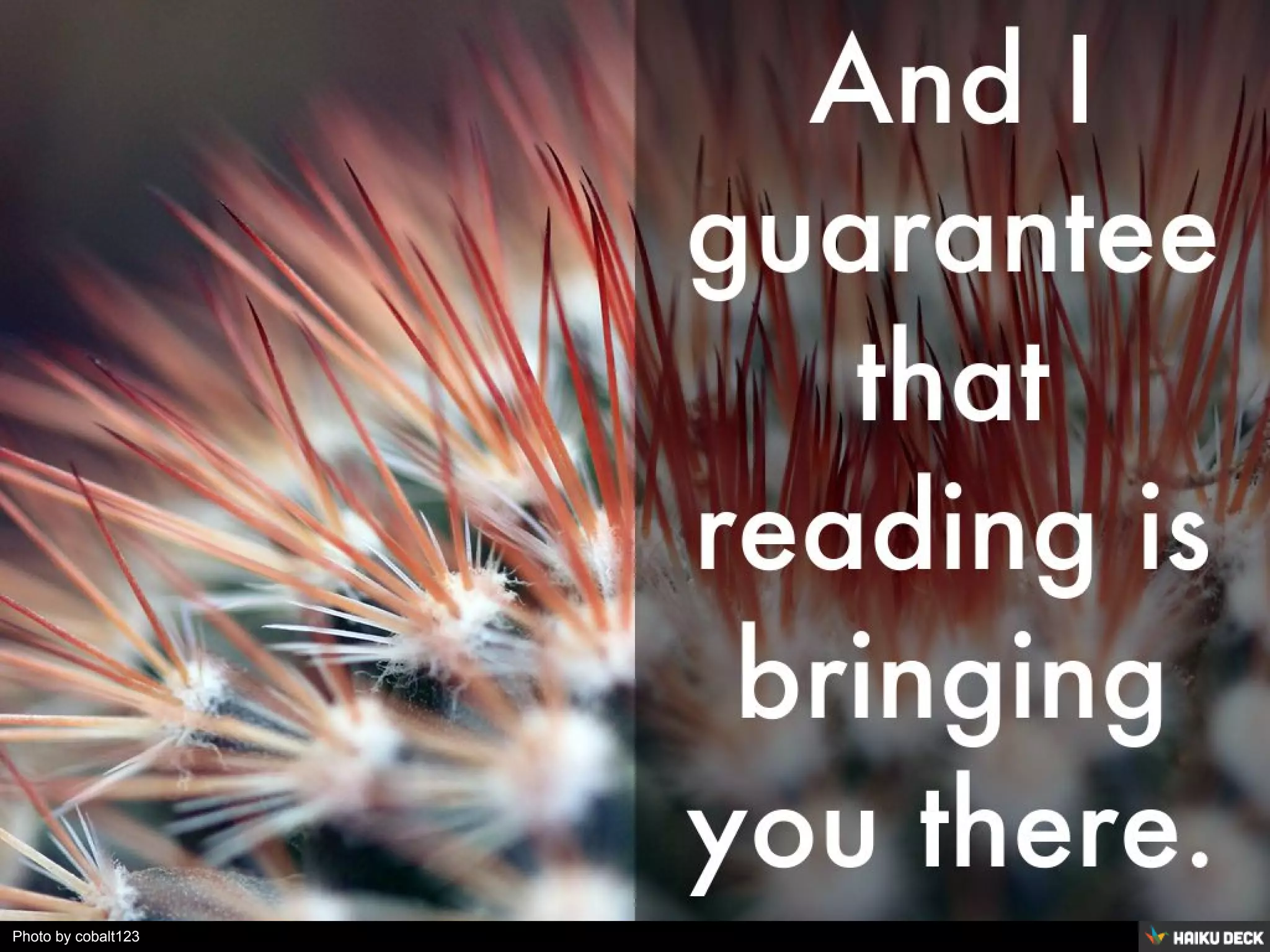 Photo by anaix3l - Creative Commons Attribution-NonCommercial-ShareAlike License https://www.flickr.com/photos/112097948@N08 Created with Haiku Deck
 