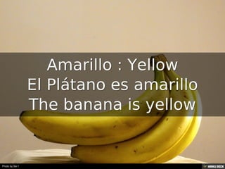 Amarillo : Yellow<br>El Plátano es amarillo<br>The banana is yellow<br>