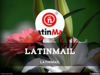 Photo by Calvo Pastor
 