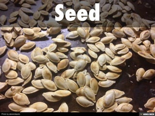 Photo by stevendepolo
 