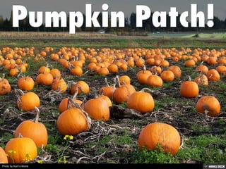 Photo by Kam's World
 