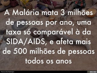 Photo by Rod Waddington
 