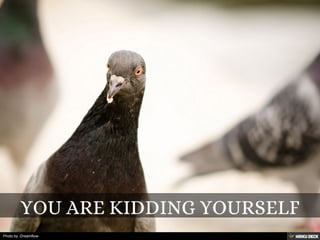 Photo by -Dreamflow-
 