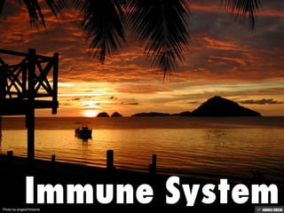 Photo by angela7dreams