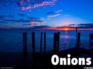 Photo by Michael Dawes