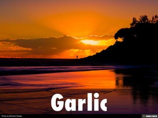 Photo by Michael Dawes