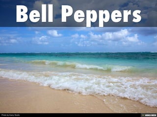 Photo by Avery Studio