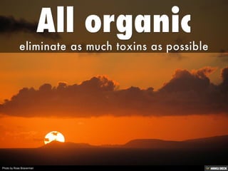 Photo by Rose Braverman