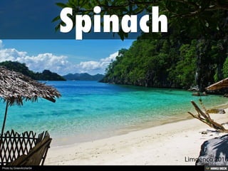 Photo by GreenArcher04