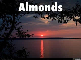 Photo by James Marvin Phelps