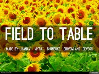 FIELD TO TABLE  MADE BY-JHANAVI , MYRA ,  SHUNSUKE,  SHIVOM AND  DEVESH 