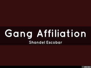 Gang Affiliation                        Shandel Escobar 