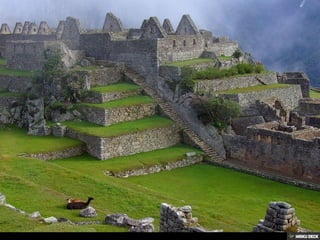 Machu Picchu