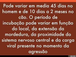 Patologias Virais II