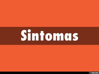 Patologias Virais II