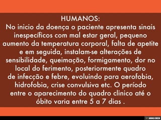 Patologias Virais II