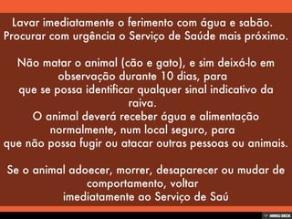 Patologias Virais II