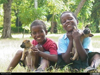 Patologias Virais II