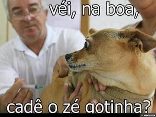 Patologias Virais II